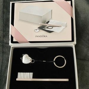 Pandora cleaning kit